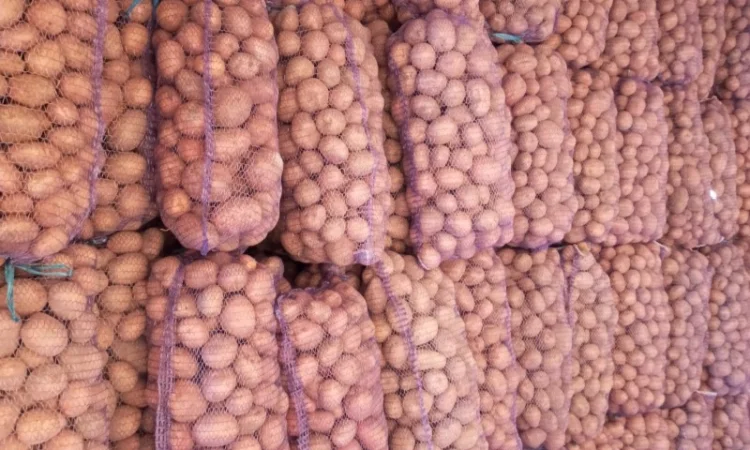 Продажа картофеля, большой выбор сортов - фото № 5