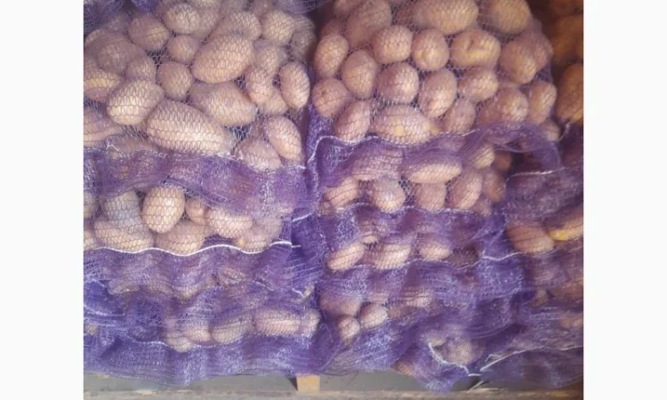 Продам картоплю червоні і білі сорти - фото № 1