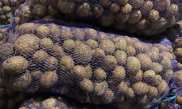 Картошка опт - фото № 6