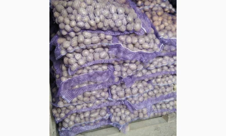 Продажа семенной картошки Аризона оптом - фото № 1