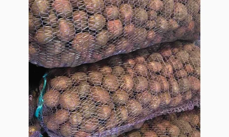 Продаж посадкової картоплі від виробника - фото № 1