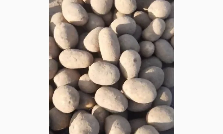 Продаж посадкової картоплі Арізона від 10т - фото № 1