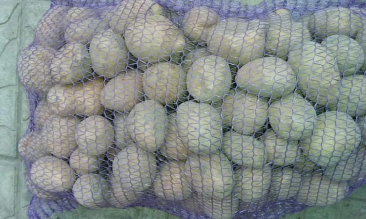 Купляю товарну картошку - фото № 3