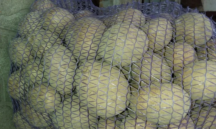 Купляю товарну картошку - фото № 4