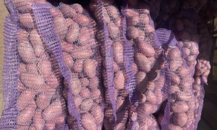 Продаж товарної картоплі 2025 року - фото № 9