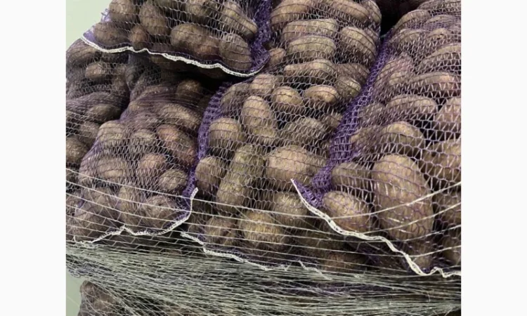 Картопля 2-й сорт за вигідною ціною - фото № 7