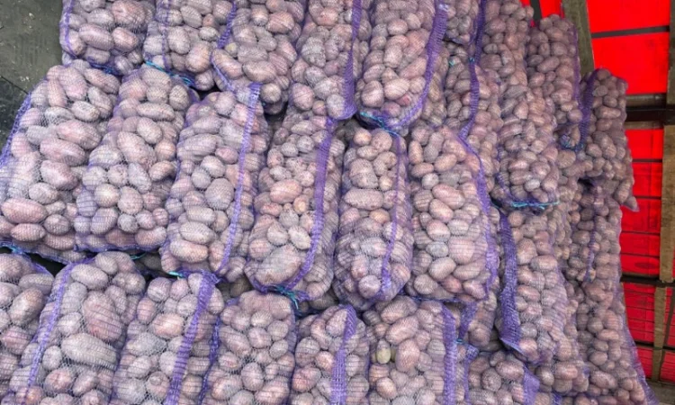 Картопля 2-й сорт за вигідною ціною - фото № 9