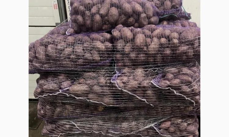 Картопля 2-й сорт за вигідною ціною - фото № 1