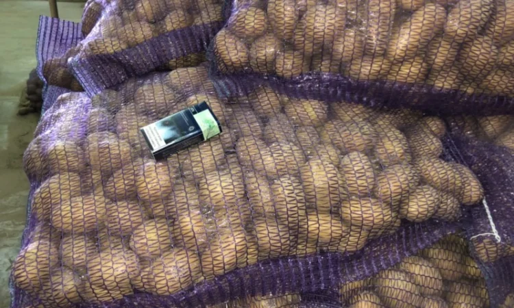 Продажа Товарного и Посадочного картофеля - фото № 1