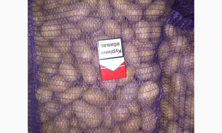 Продажа Товарного и Посадочного картофеля - фото № 2