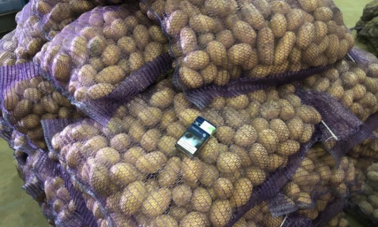 Продажа Товарного и Посадочного картофеля - фото № 3