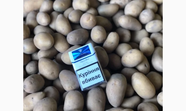 Продажа Товарного и Посадочного картофеля - фото № 4