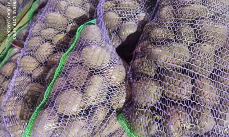 Продажа домашней картошки - фото № 3