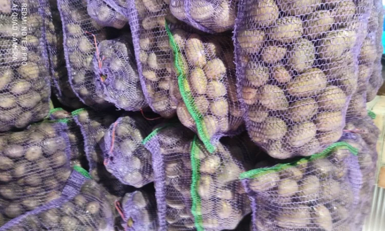 Продажа домашней картошки - фото № 4