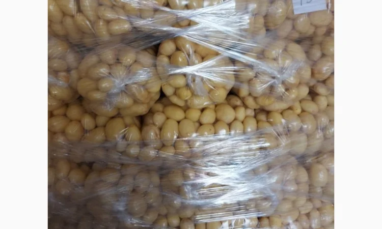 Картошка молодая - фото № 1