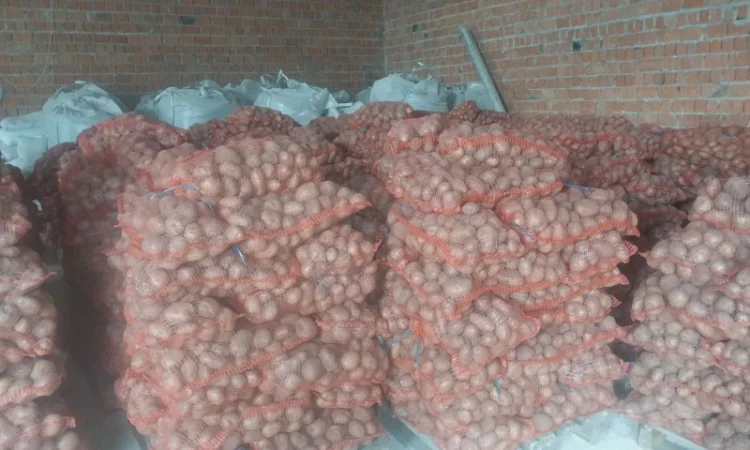 Продам товарний картофель - фото № 2