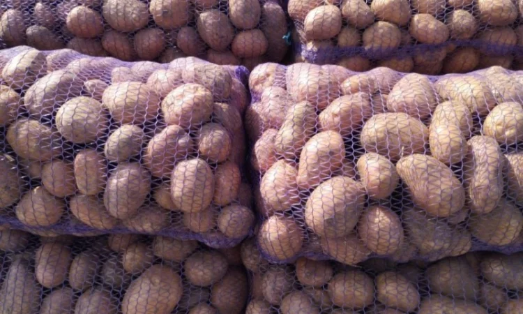 Продаж картоплі відмінної якості - фото № 1