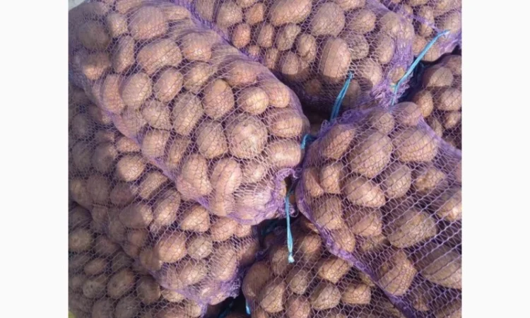 Продаж картоплі відмінної якості - фото № 3