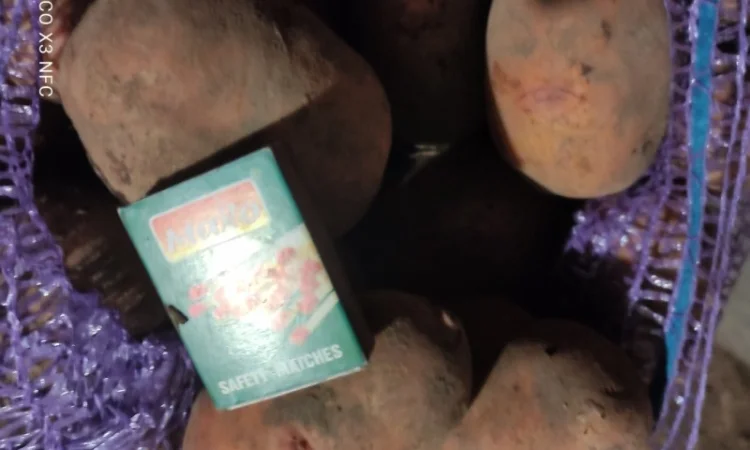 Продаж картоплі сорту Княгиня - фото № 1