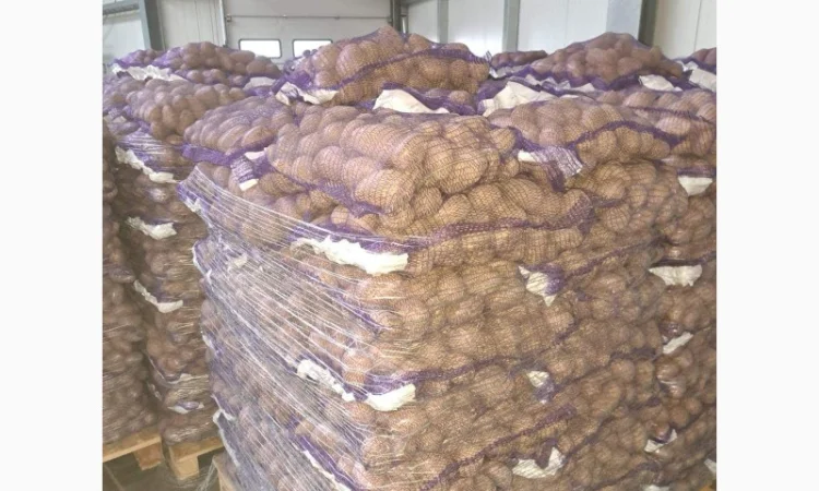 Продам товарну картоплю - фото № 2