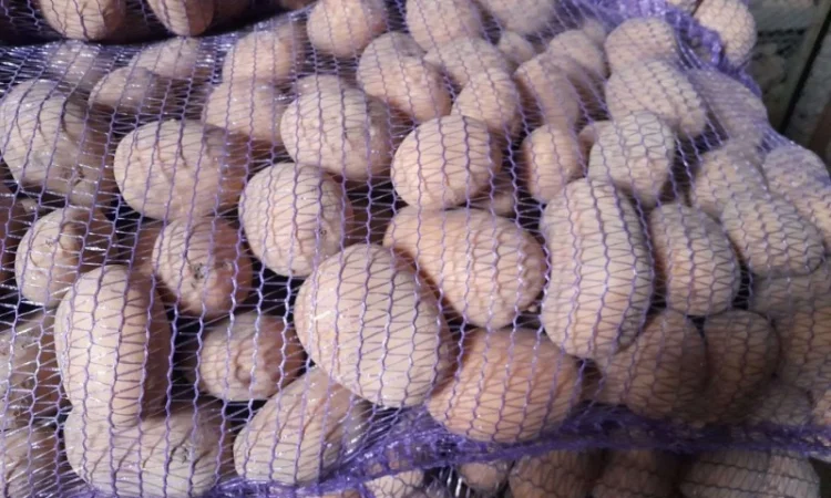 Продам картоплю - фото № 3