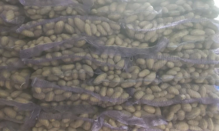 Гранада - фото № 1