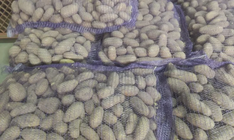 Гранада - фото № 3