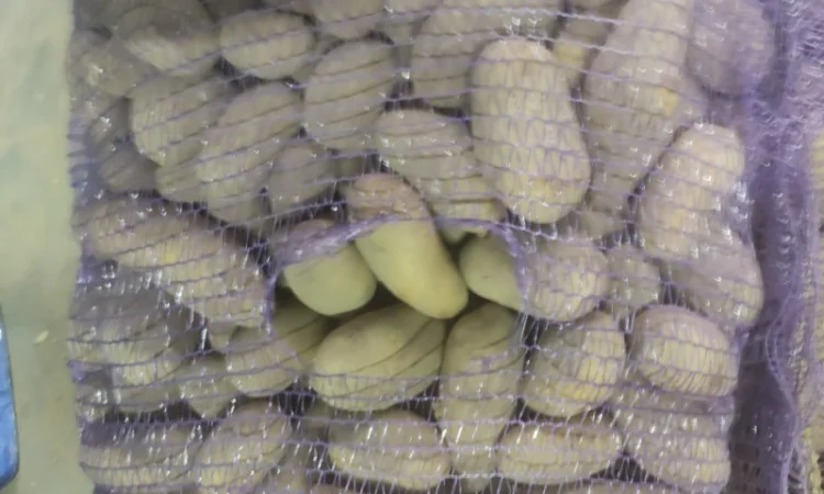 Гранада - фото № 4