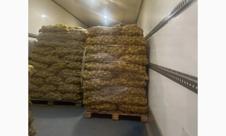 Продаж картоплі опт / власний імпорт / з ПДВ (Сорая, Гранада, Королева Анна.) - фото № 3