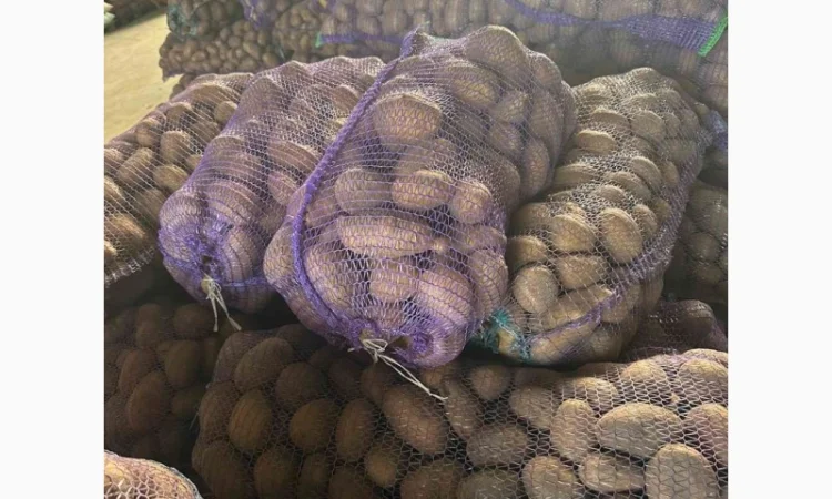 Продам картоплю - фото № 2