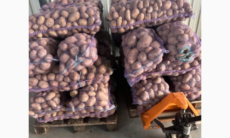 Продам картоплю - фото № 3