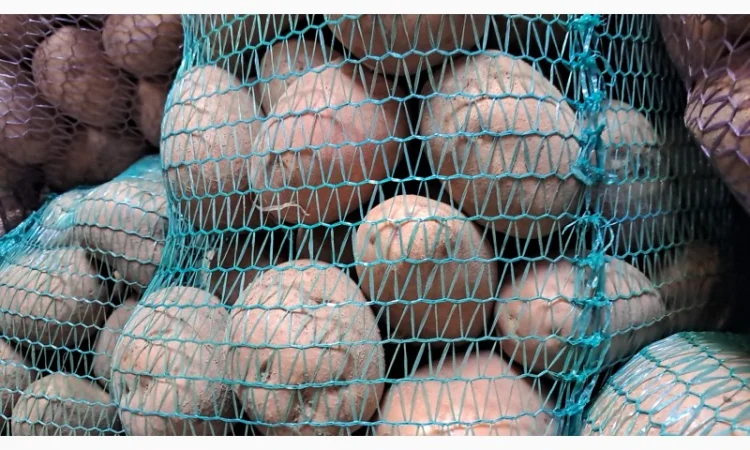 Продам картоплю - фото № 3