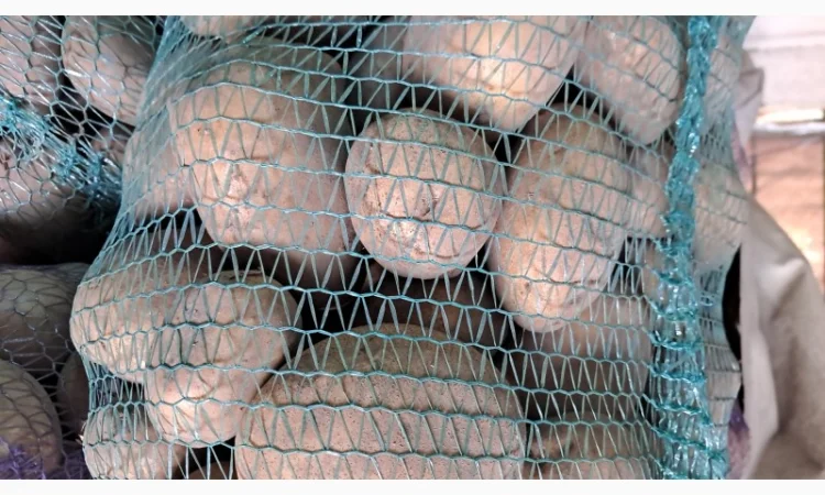 Продам картоплю - фото № 5