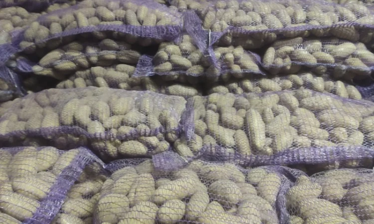 Гранада - фото № 2