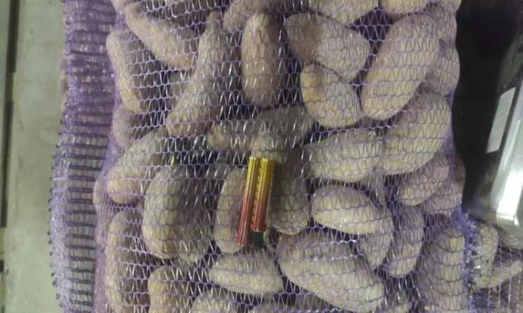 Гранада - фото № 3