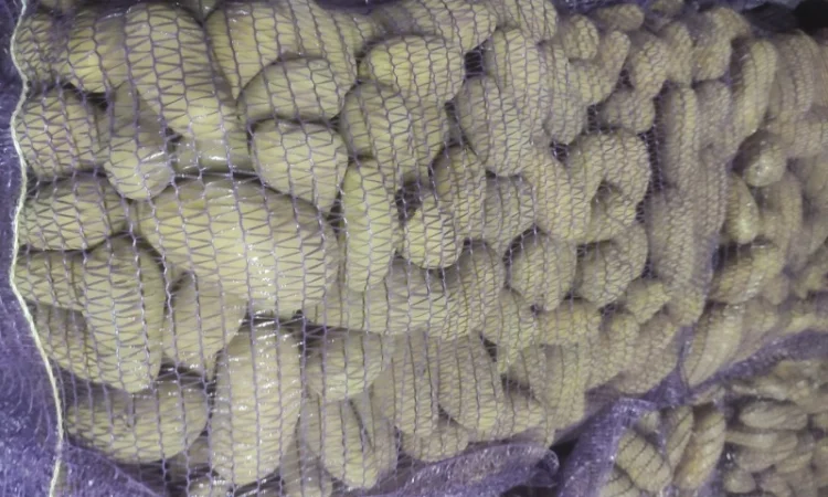 Картофель сорт Гранада - фото № 1