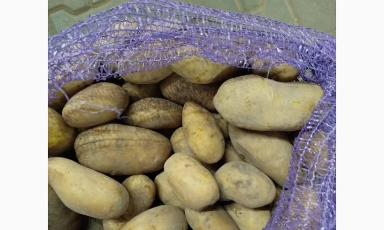 Гранада - фото № 2