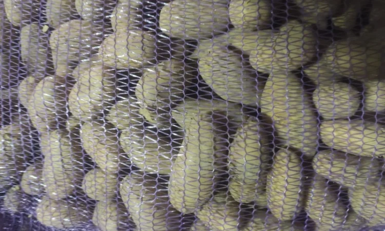 Гранада - фото № 3