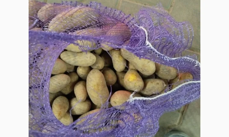 Гранада - фото № 4