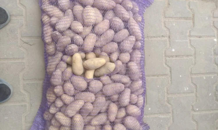 Продам Гранада - фото № 3