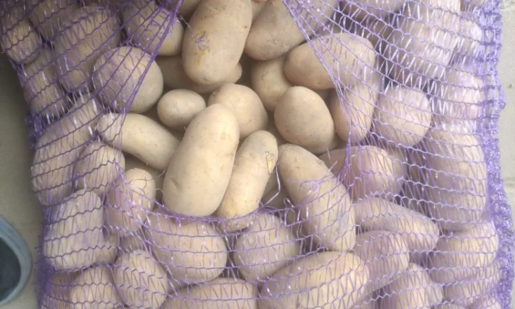 Продам Гранада - фото № 6