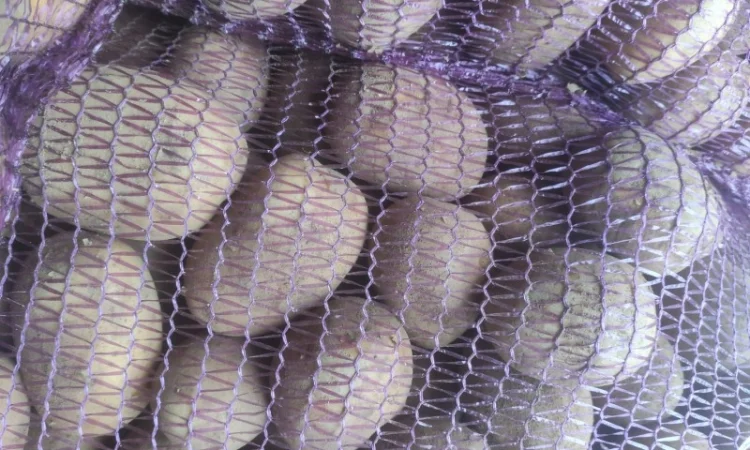 Продам товарный картофель Виктория - фото № 2