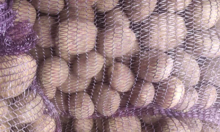 Продам товарный картофель Виктория - фото № 3