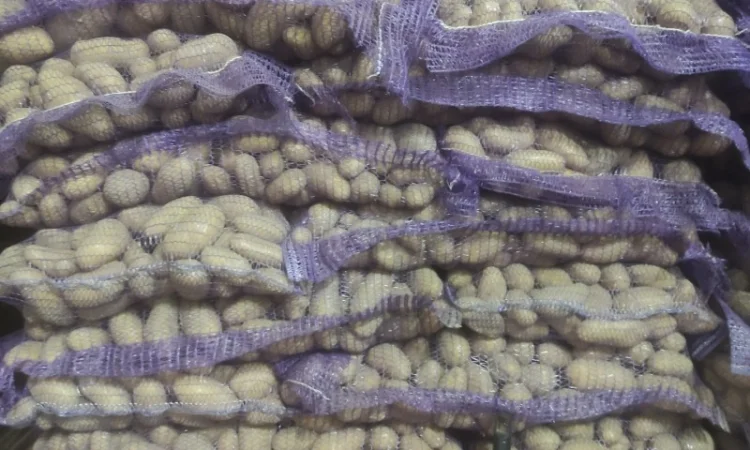 Продам Гранада - фото № 2