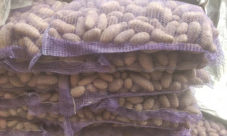 Продам Гранада - фото № 5