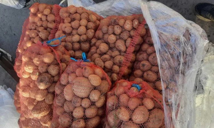 Куплю картофель - фото № 1