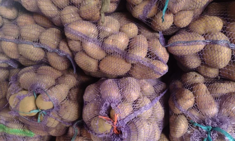 Продам картоплю - фото № 1