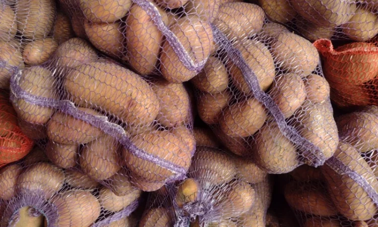 Продам картоплю - фото № 3