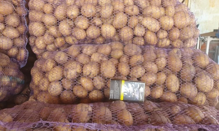 Продам картофель - фото № 1