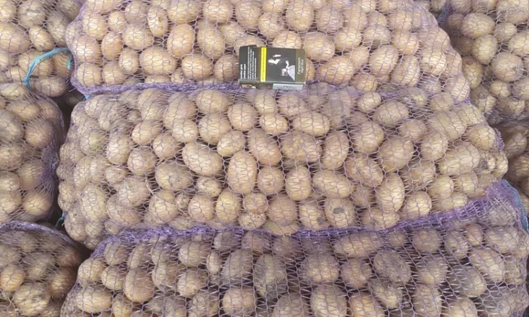 Продам картофель - фото № 2